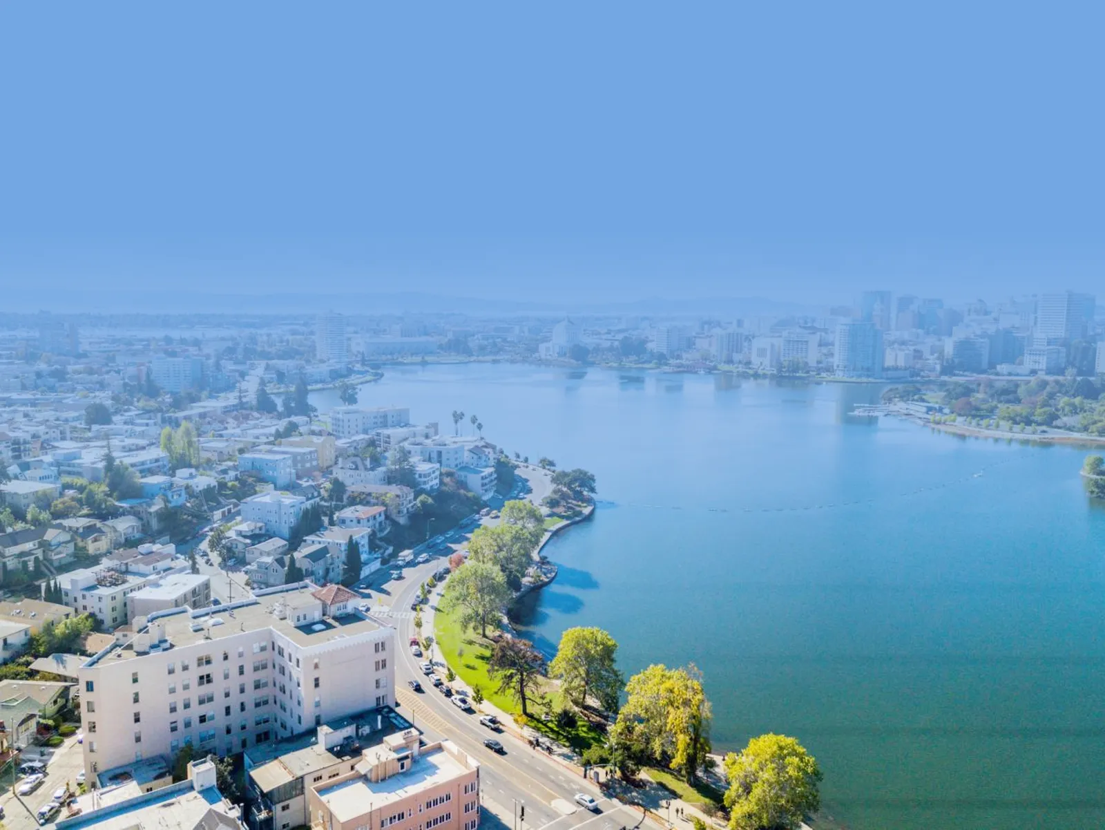 Oakland skyline and community